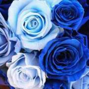 ヒメ日記 2025/06/28 11:25 投稿 あすか 待ちナビ