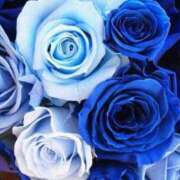 ヒメ日記 2025/11/15 11:51 投稿 あすか 待ちナビ