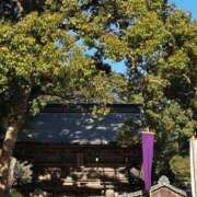 ヒメ日記 2025/01/03 10:42 投稿 いよ 待ちナビ