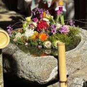 ヒメ日記 2025/01/04 14:37 投稿 いよ 待ちナビ