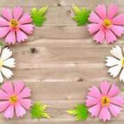 ヒメ日記 2025/01/04 14:50 投稿 いよ 待ちナビ