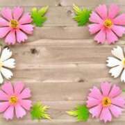 ヒメ日記 2025/04/14 14:25 投稿 いよ 待ちナビ