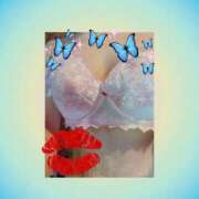 ヒメ日記 2025/09/13 15:32 投稿 いよ 待ちナビ