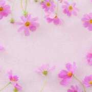 ヒメ日記 2025/09/14 11:45 投稿 いよ 待ちナビ