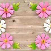 ヒメ日記 2025/12/14 11:25 投稿 いよ 待ちナビ