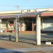 ヒメ日記 2025/05/29 11:16 投稿 けいこ 待ちナビ