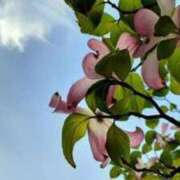 ヒメ日記 2025/06/08 14:25 投稿 けいこ 待ちナビ