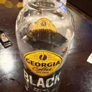 ヒメ日記 2025/10/29 16:15 投稿 けいこ 待ちナビ