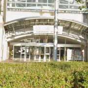 ヒメ日記 2026/01/13 16:35 投稿 けいこ 待ちナビ