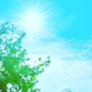 ヒメ日記 2025/01/19 08:55 投稿 みゆ 待ちナビ