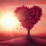 ヒメ日記 2025/03/07 12:06 投稿 みゆ 待ちナビ