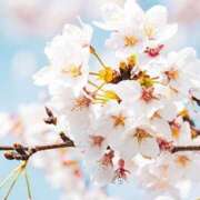 ヒメ日記 2025/03/26 12:05 投稿 みゆ 待ちナビ