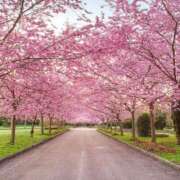 ヒメ日記 2025/04/02 10:45 投稿 みゆ 待ちナビ