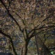 ヒメ日記 2025/04/09 23:49 投稿 みゆ 待ちナビ