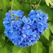 ヒメ日記 2025/06/09 22:05 投稿 みゆ 待ちナビ