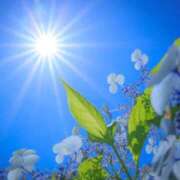 ヒメ日記 2025/06/26 11:05 投稿 みゆ 待ちナビ