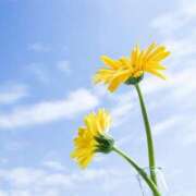 ヒメ日記 2025/08/08 09:05 投稿 みゆ 待ちナビ