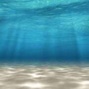 ヒメ日記 2025/08/20 11:00 投稿 みゆ 待ちナビ