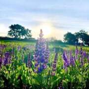 ヒメ日記 2025/08/28 10:04 投稿 みゆ 待ちナビ