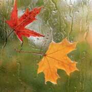 ヒメ日記 2025/09/18 09:09 投稿 みゆ 待ちナビ