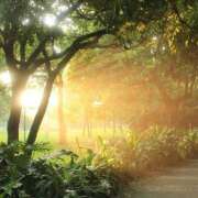 ヒメ日記 2025/09/26 08:56 投稿 みゆ 待ちナビ