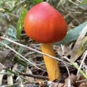 ヒメ日記 2025/10/10 09:06 投稿 みゆ 待ちナビ