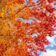 ヒメ日記 2025/10/14 10:45 投稿 みゆ 待ちナビ