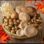 ヒメ日記 2025/11/12 11:15 投稿 みゆ 待ちナビ