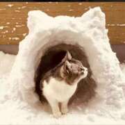 ヒメ日記 2026/02/19 08:45 投稿 みゆ 待ちナビ