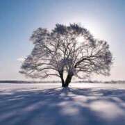 ヒメ日記 2026/02/20 08:25 投稿 みゆ 待ちナビ