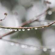 ヒメ日記 2026/02/24 08:46 投稿 みゆ 待ちナビ