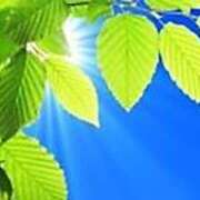 ヒメ日記 2025/04/19 11:40 投稿 みゆき 待ちナビ