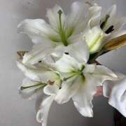 ヒメ日記 2025/03/20 08:09 投稿 ゆう 成田人妻講座