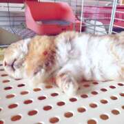 ヒメ日記 2025/03/30 23:33 投稿 ゆう 成田人妻講座