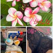 ヒメ日記 2025/08/05 20:28 投稿 かんな 成田人妻講座