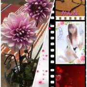 ヒメ日記 2025/09/28 13:34 投稿 かんな 成田人妻講座