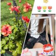 ヒメ日記 2026/04/20 13:43 投稿 かんな 成田人妻講座