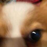 ヒメ日記 2025/02/26 10:16 投稿 しろ 初体験