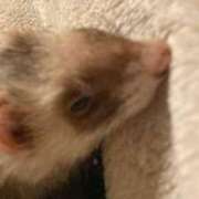 ヒメ日記 2025/03/29 11:00 投稿 しろ 初体験