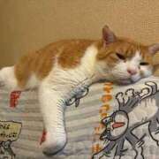 しろ ！！！ 初体験