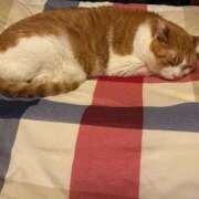 しろ 重要！！！皆さん読んでください！ 初体験