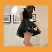 しろ しろ🌼柏！急遽！ 世界のあんぷり亭 日暮里店