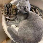 あいこ 癒しとエロはお好きですか？ ミラー