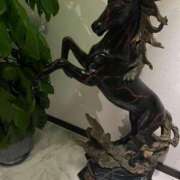 ヒメ日記 2025/12/11 14:35 投稿 あいこ ミラー