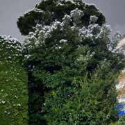 ヒメ日記 2026/01/02 23:38 投稿 あいこ ミラー