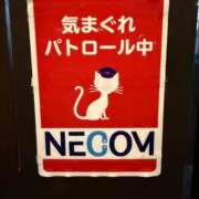 ヒメ日記 2026/03/12 16:02 投稿 あいこ ミラー