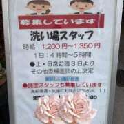 ヒメ日記 2026/03/20 13:31 投稿 あいこ ミラー