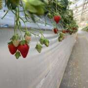 ヒメ日記 2025/02/07 21:37 投稿 北山　かすみ 昼下がりの情事