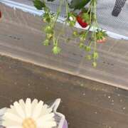 ヒメ日記 2025/04/14 14:36 投稿 北山　かすみ 昼下がりの情事