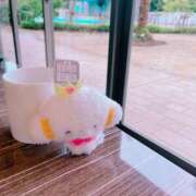 ヒメ日記 2025/06/26 09:36 投稿 北山　かすみ 昼下がりの情事